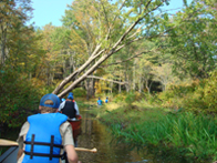 Paddling the West River