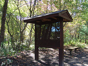 Sean's Eagle Project