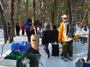 Starting Crossing the Creek