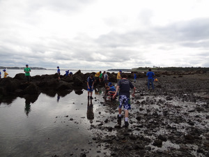 Exploring the Rocky Intertidal Zone