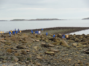 Exploring the Rocky Intertidal Zone