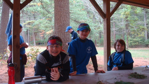 Plant Identification